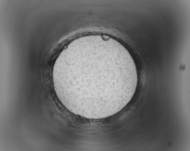 X0000114991494200911231129