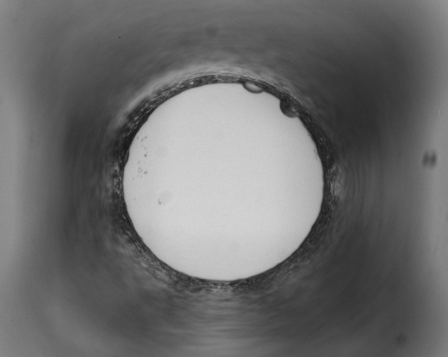 X0000114991495200911231129