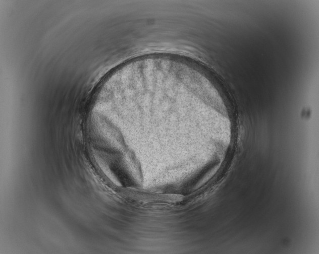 X0000114991497200911231130