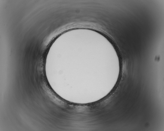 X0000114991498200911231130