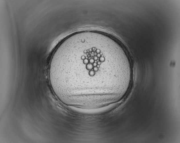 X0000114991501200911231130