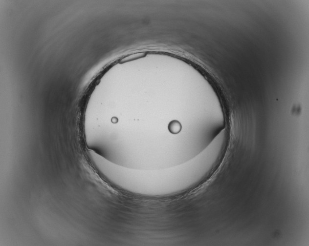 X0000114991502200911231130