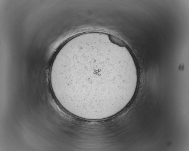 X0000114991503200911231130