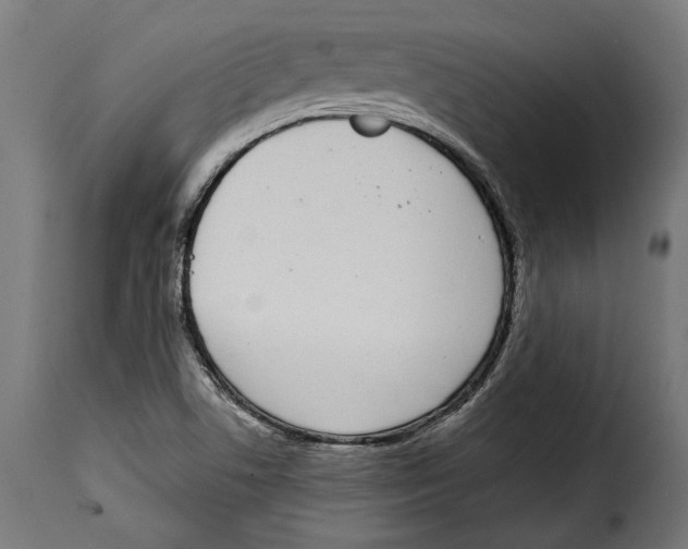 X0000114991506200911231130