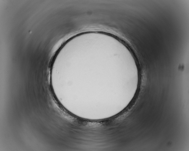 X0000114991509200911231130