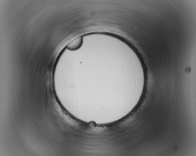 X0000114991513200911231130