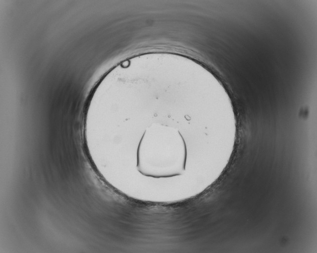 X0000114991514200911231130