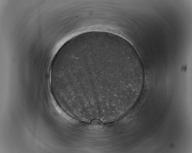 X0000114991515200911231130