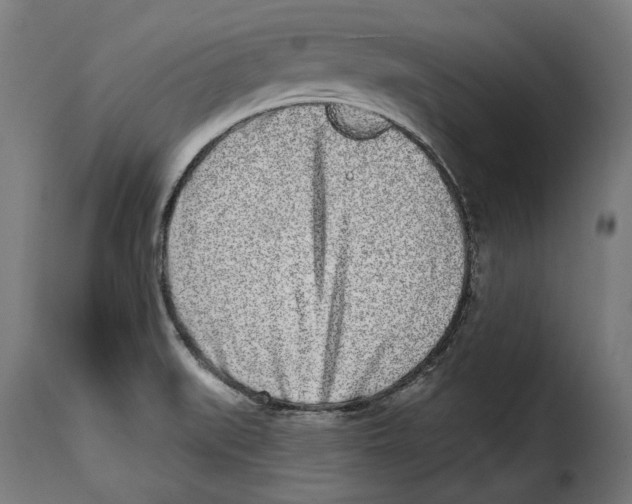 X0000114991519200911231130