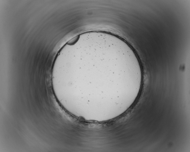 X0000114991521200911231130