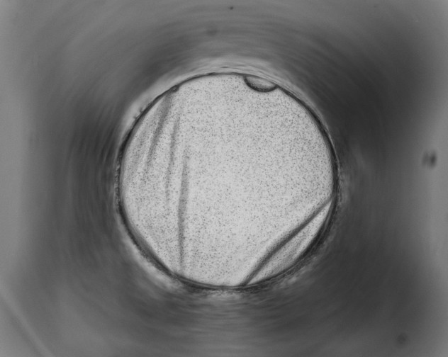 X0000114991525200911231130