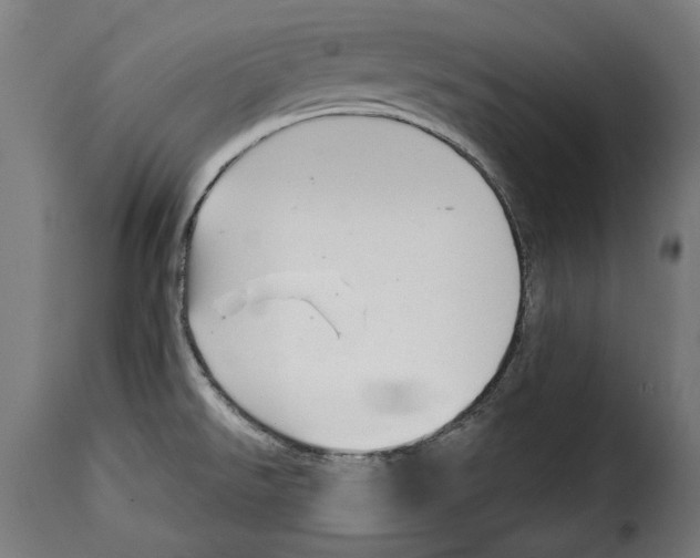 X0000114991526200911231130