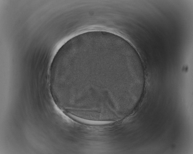 X0000114991527200911231130