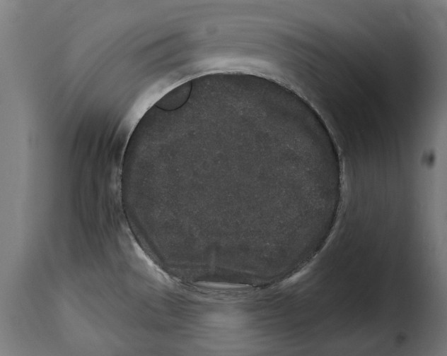 X0000114991529200911231130