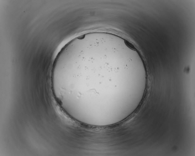 X0000114991530200911231130