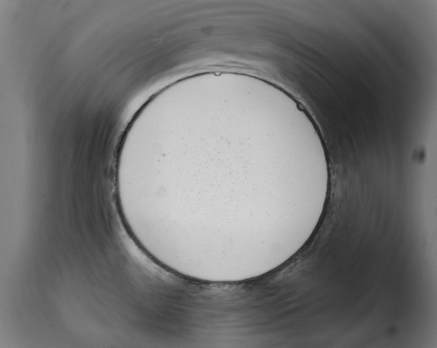 X0000114991531200911231130