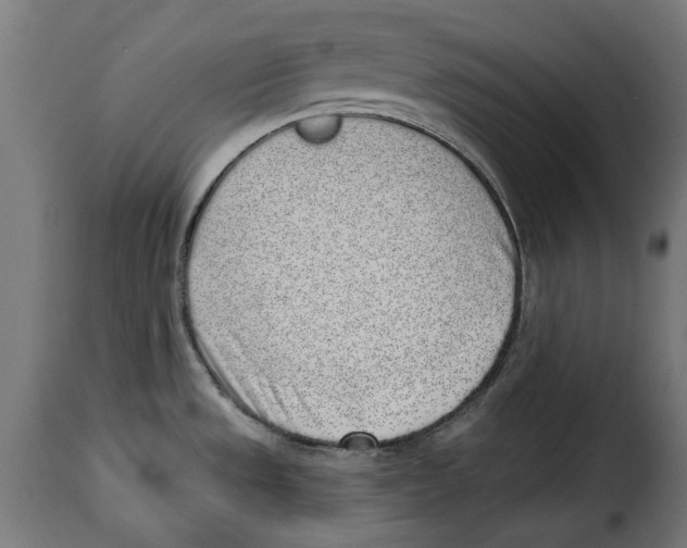 X0000114991533200911231130