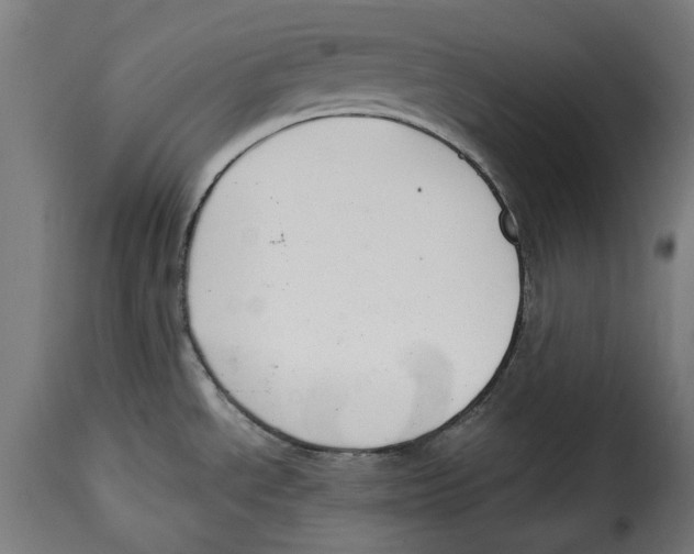 X0000114991534200911231130