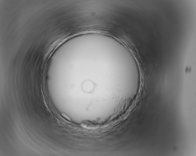 X0000114990001200912071127