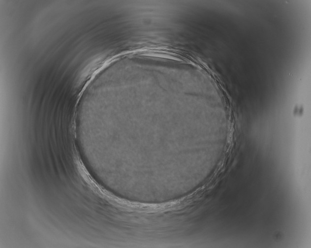 X0000114990002200912071127