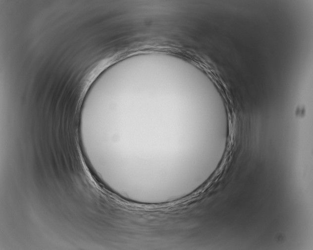 X0000114990003200912071127