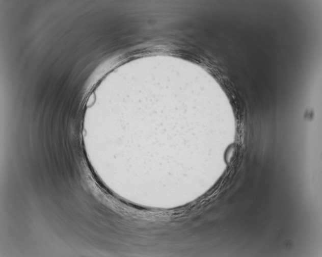 X0000114990004200912071127