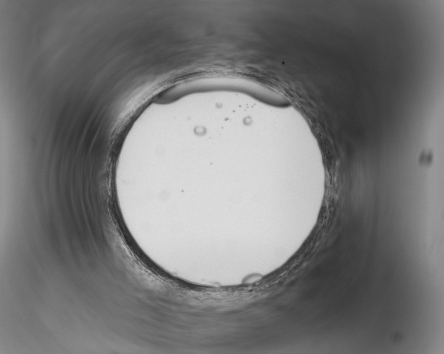 X0000114990005200912071127