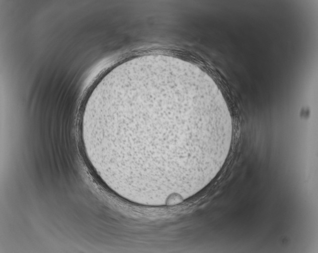 X0000114990006200912071127