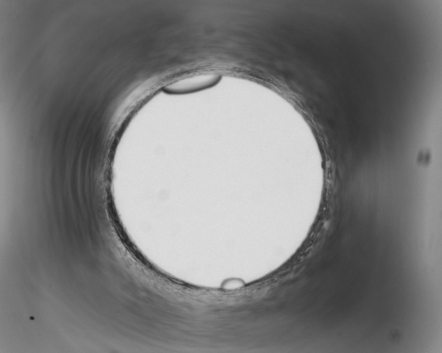 X0000114990007200912071127