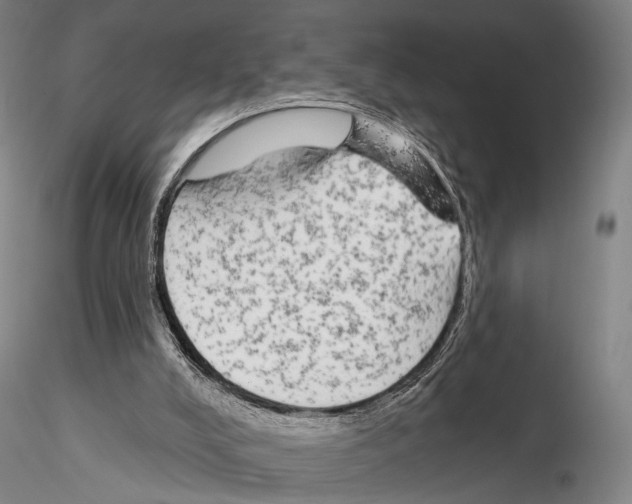 X0000114990008200912071127