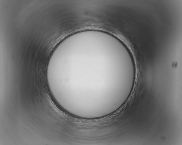 X0000114990009200912071127