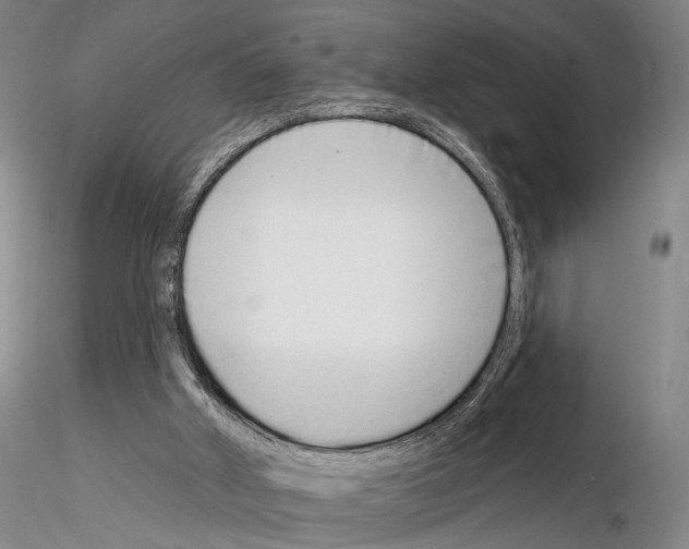 X0000114990010200912071127