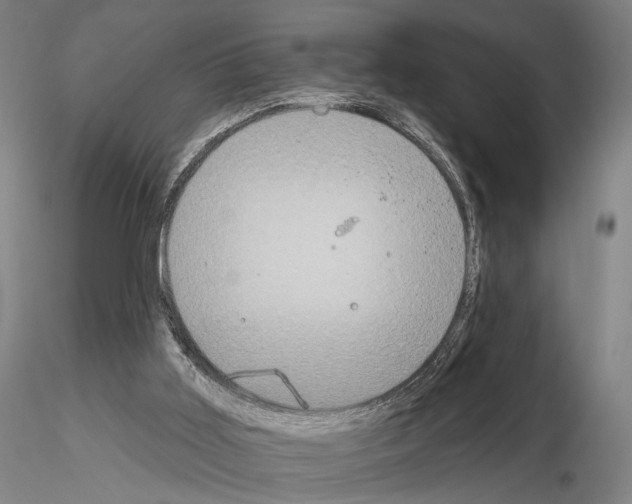 X0000114990011200912071127