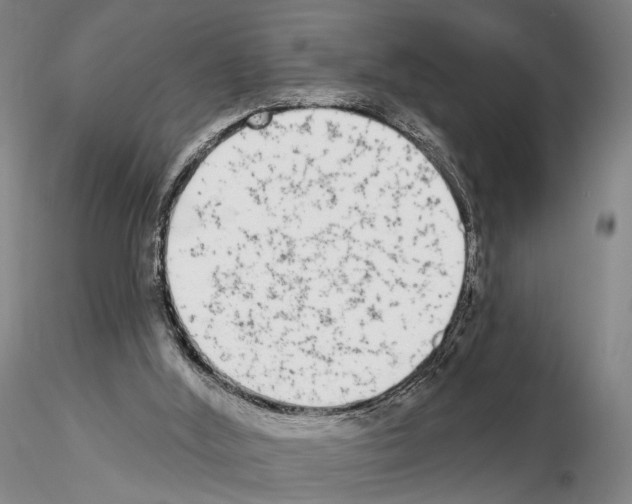 X0000114990012200912071127