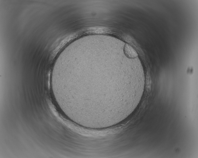 X0000114990014200912071127