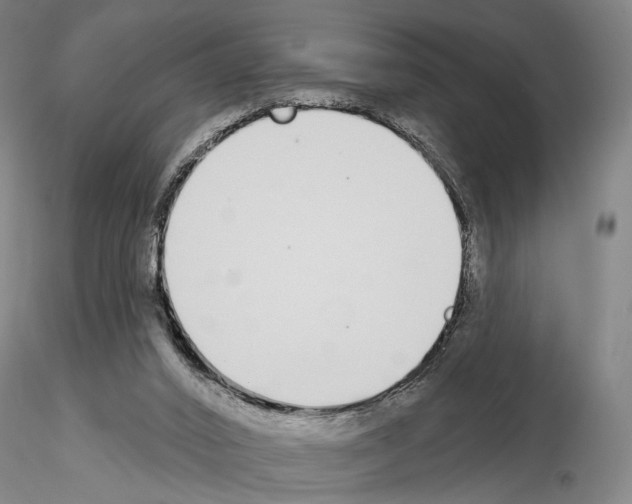 X0000114990016200912071127