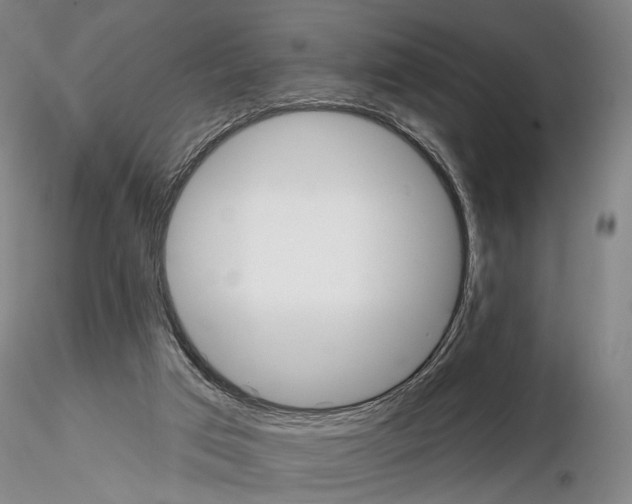 X0000114990017200912071127