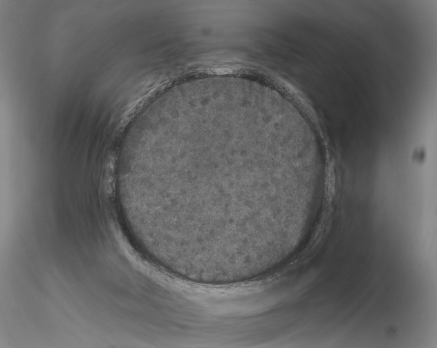 X0000114990018200912071127