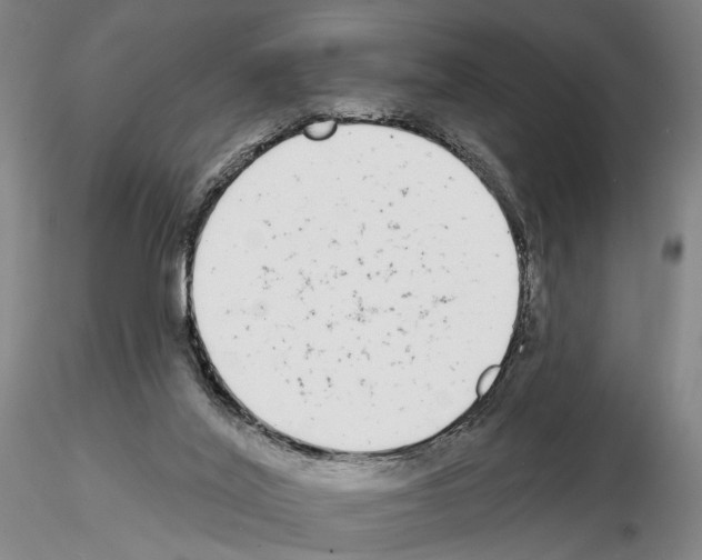 X0000114990020200912071127