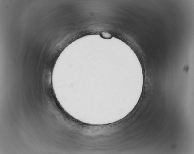 X0000114990021200912071127