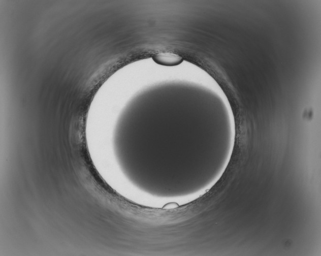 X0000114990023200912071127