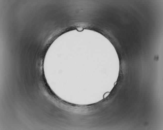 X0000114990024200912071127