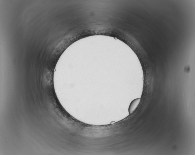 X0000114990025200912071127