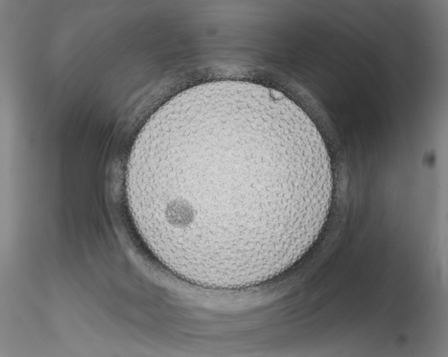 X0000114990026200912071127