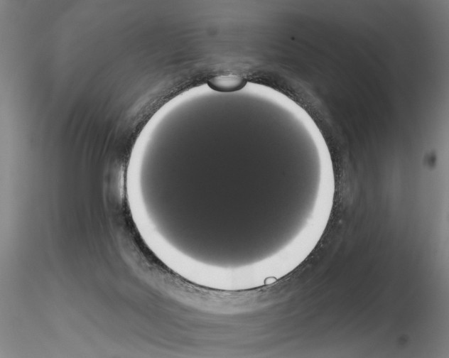 X0000114990027200912071127