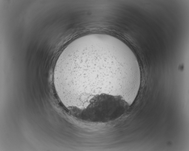 X0000114990028200912071127