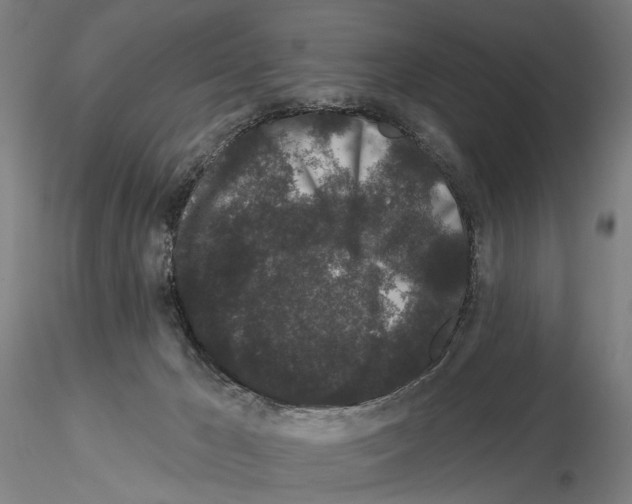 X0000114990029200912071127