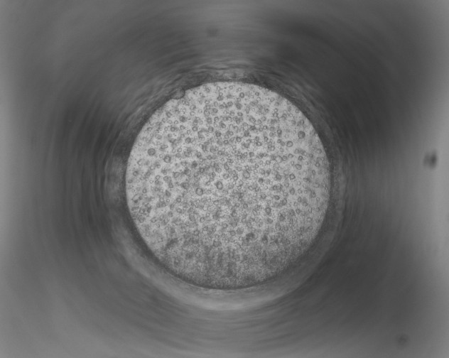 X0000114990030200912071127