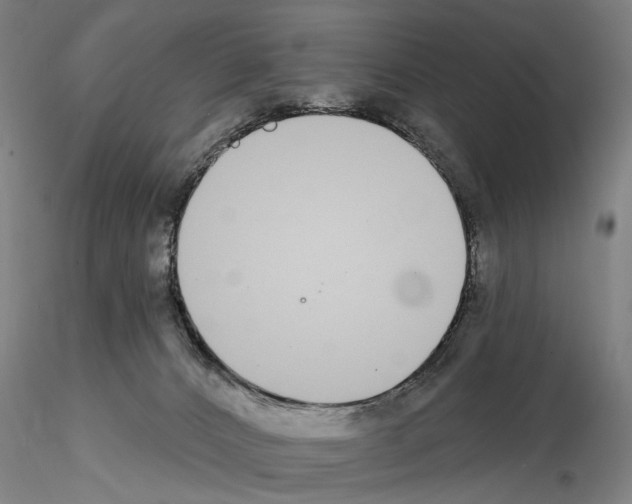 X0000114990032200912071127