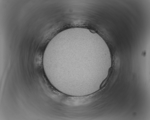 X0000114990033200912071127